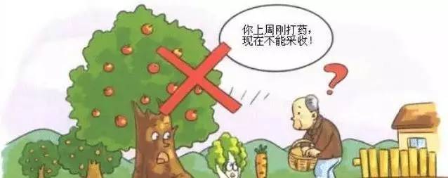  食品安全如何保證？