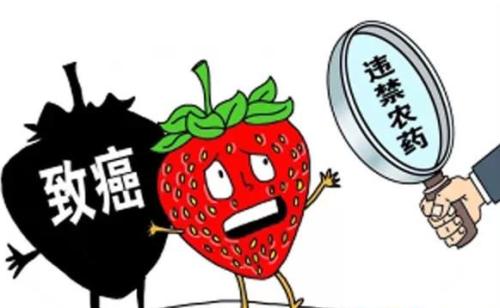 孩童的飲食安全如何注意？